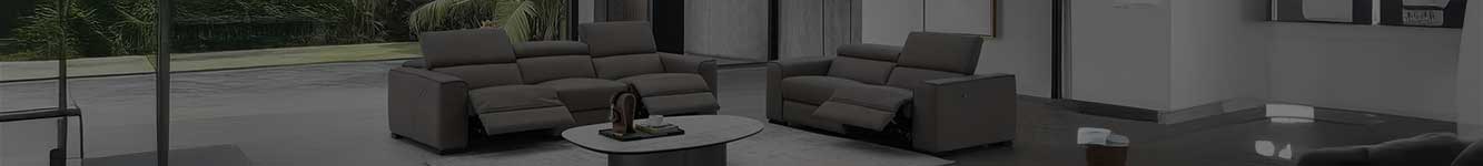 Premium Leather Motion