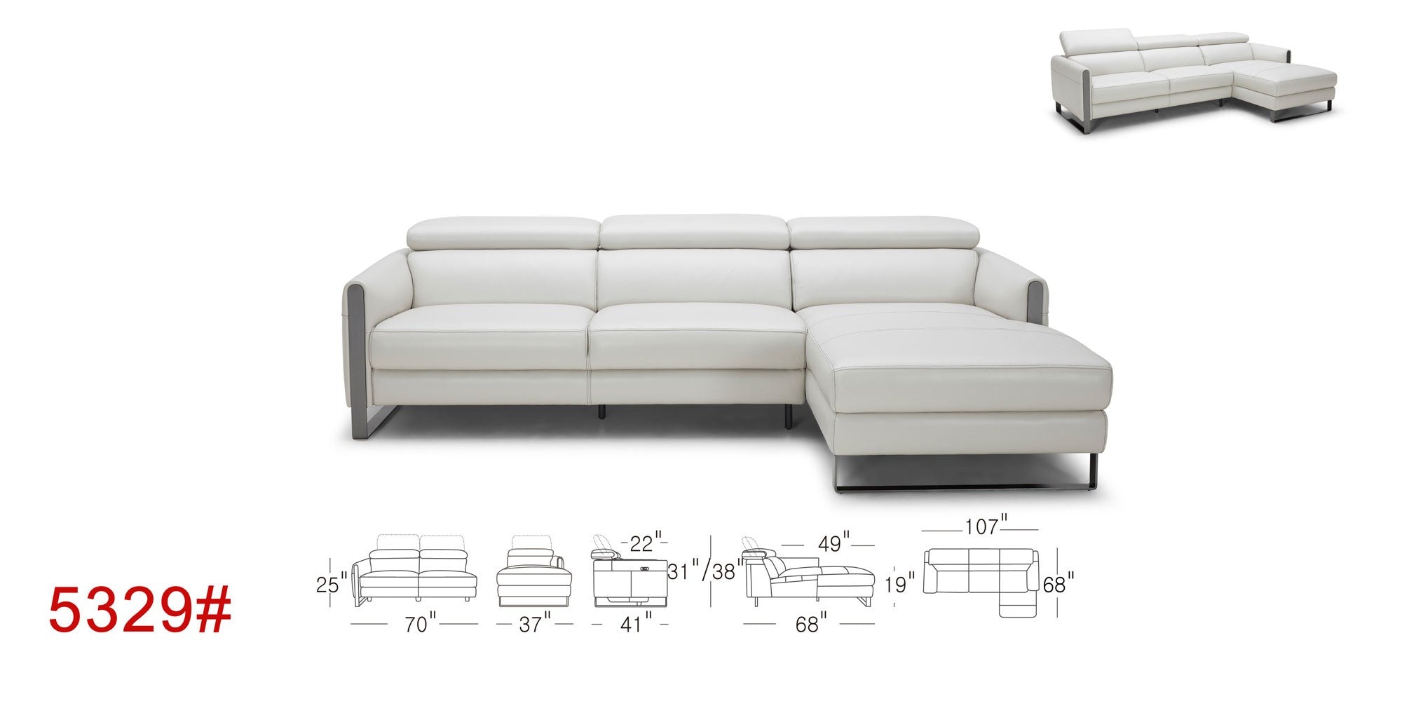 5329-01 Leather Sectional