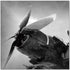 Aircraft Rotor - SB-61298C