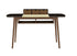 Dana Modern Office Desk