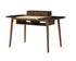 Dana Modern Office Desk