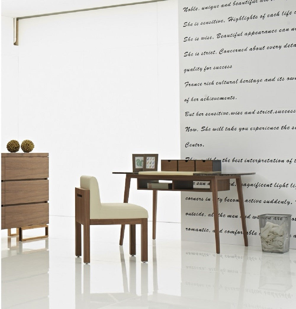 Dana Modern Office Desk