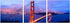Golden Gate Bridge - SH-71050ABC