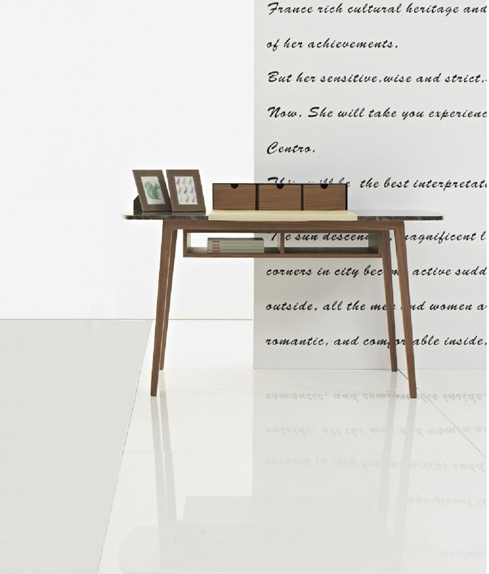 Dana Modern Office Desk