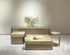 Mesa Coffee Table