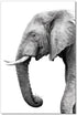 Tusk - SB - 61131
