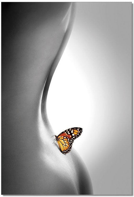 Wall Art Butterfly | SB-61336C